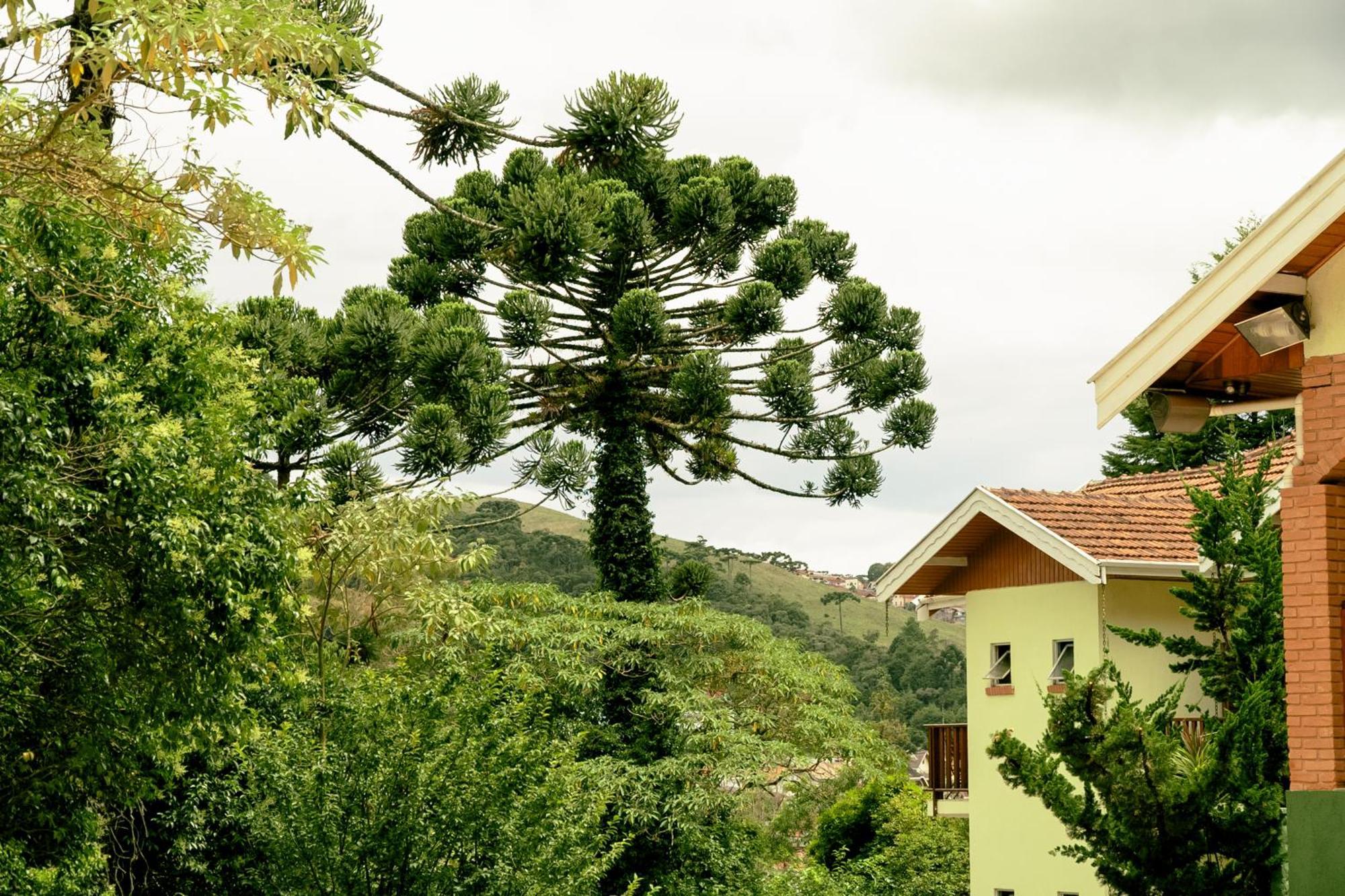 Velinn Pousada Vila Floratta Campos do Jordao Luaran gambar